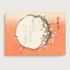 Indflyttergave|Bestsellere^SERAMIKKU Baika